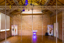 Load image into Gallery viewer, Ball Mount Vaulted Ball Mount system with T-Insert X-POLE
