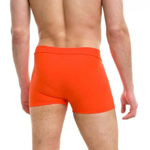 Load image into Gallery viewer, Shorts Fit para hombre — Dragonfly
