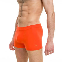 Load image into Gallery viewer, Shorts Fit para hombre — Dragonfly
