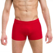 Load image into Gallery viewer, Shorts Fit para hombre — Dragonfly
